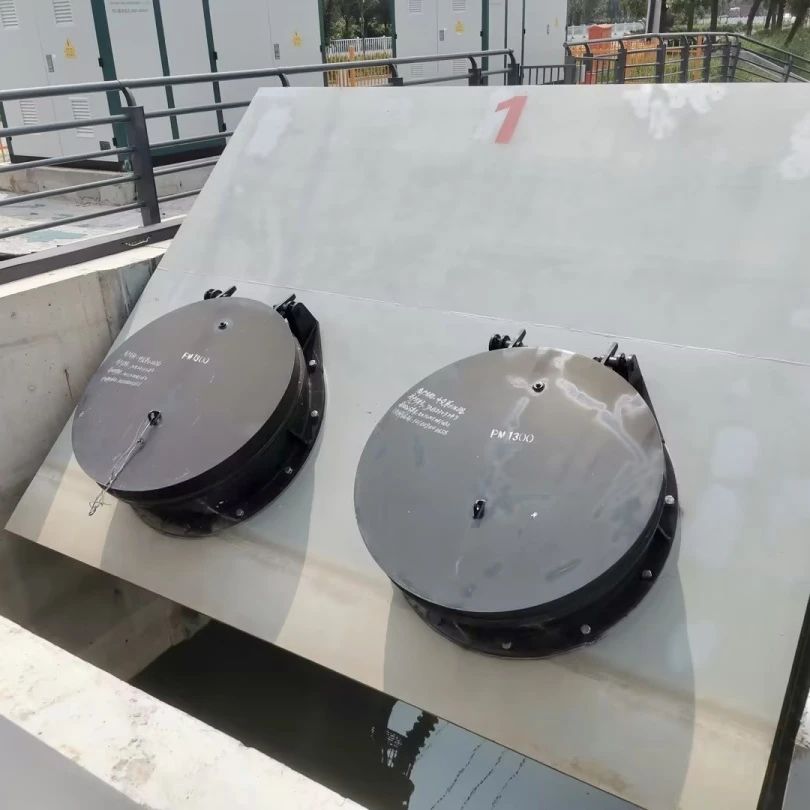 ΢ͼƬ_20250116160342